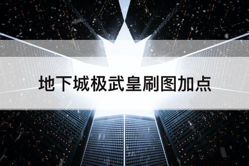 地下城极武皇刷图加点