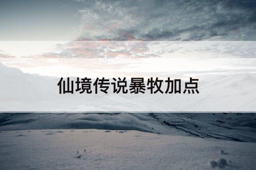 仙境传说暴牧加点