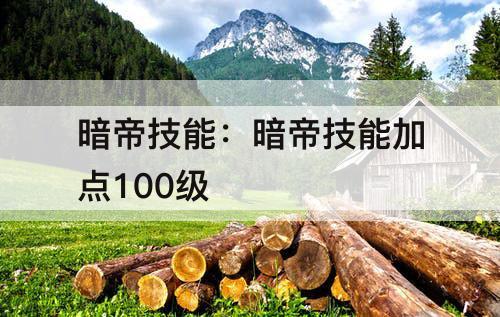 暗帝技能：暗帝技能加点100级
