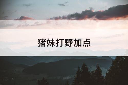猪妹打野加点