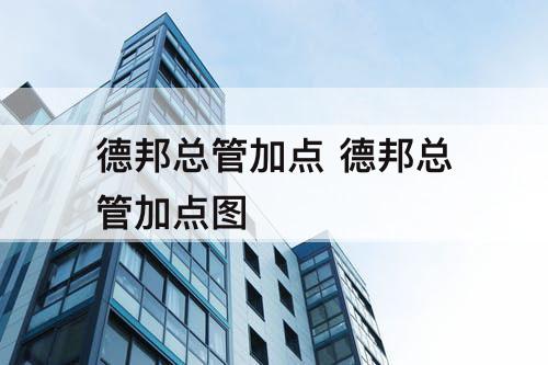 德邦总管加点 德邦总管加点图
