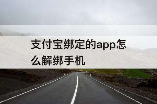 支付宝绑定的app怎么解绑手机