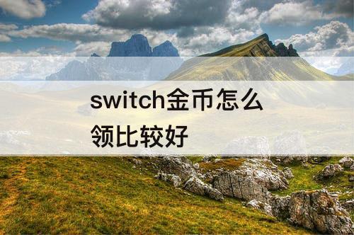 switch金币怎么领比较好