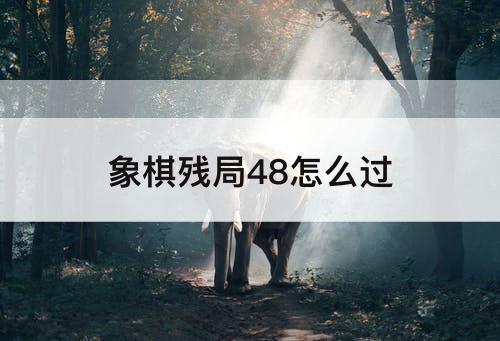 象棋残局48怎么过