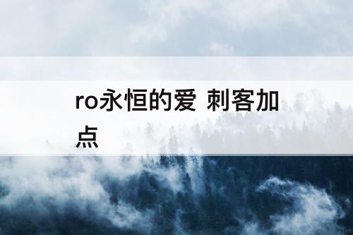 ro永恒的爱 刺客加点