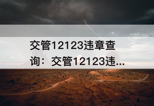 交管12123违章查询：交管12123违章查询非本人可以查吗