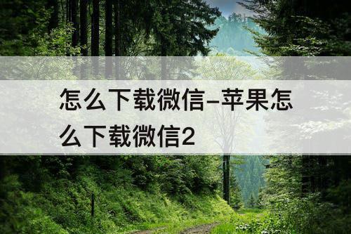 怎么下载微信-苹果怎么下载微信2