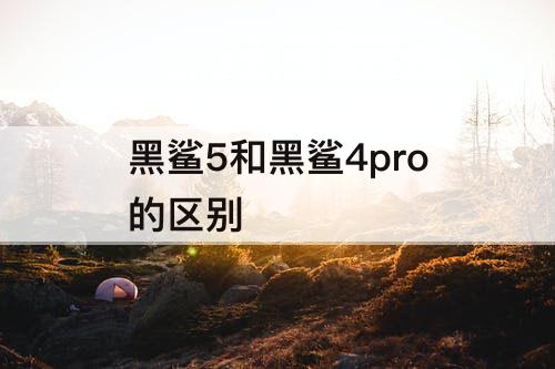 黑鲨5和黑鲨4pro的区别