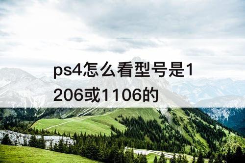 ps4怎么看型号是1206或1106的