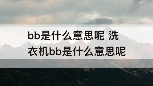 bb是什么意思呢 洗衣机bb是什么意思呢