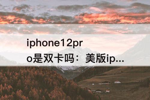 iphone12pro是双卡吗：美版iphone12pro是双卡吗