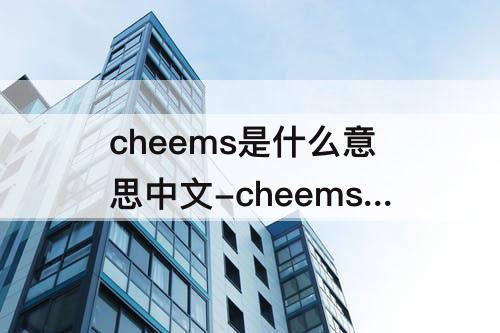 cheems是什么意思中文-cheems是什么意思中文翻译