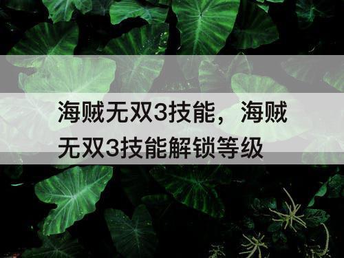 海贼无双3技能，海贼无双3技能解锁等级