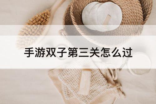 手游双子第三关怎么过