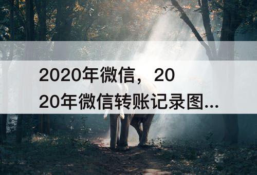 2020年微信，2020年微信转账记录图片