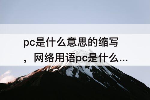 pc是什么意思的缩写，网络用语pc是什么意思的缩写
