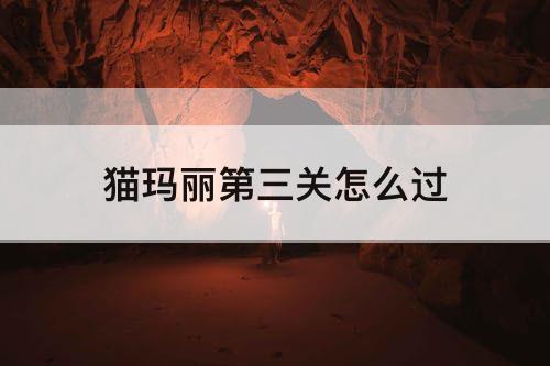 猫玛丽第三关怎么过