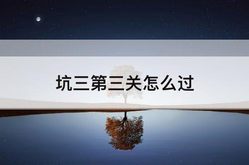 坑三第三关怎么过