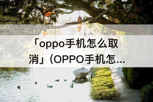 「oppo手机怎么取消」(OPPO手机怎么取消动态壁纸)