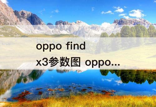 oppo find x3参数图 oppo find x3参数图片