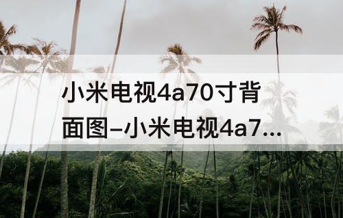 小米电视4a70寸背面图-小米电视4a70寸背面图插孔图