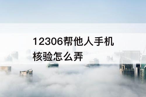 12306帮他人手机核验怎么弄