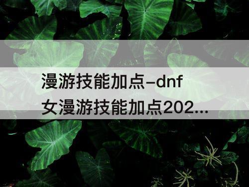 漫游技能加点-dnf女漫游技能加点2023