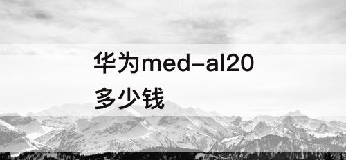 华为med-al20多少钱