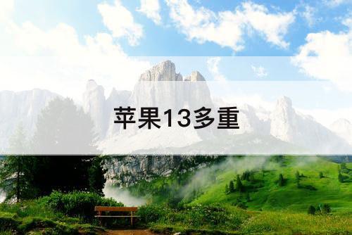 苹果13多重