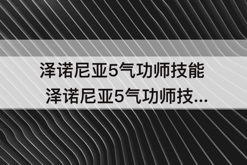 泽诺尼亚5气功师技能 泽诺尼亚5气功师技能加点
