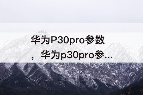 华为P30pro参数，华为p30pro参数配置截图