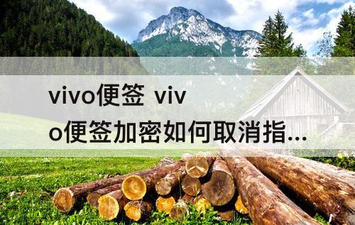 vivo便签 vivo便签加密如何取消指纹