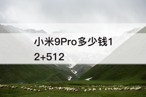 小米9Pro多少钱12+512