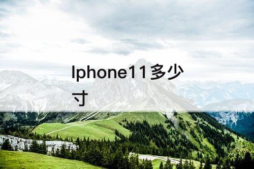 Iphone11多少寸