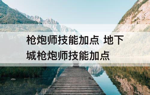 枪炮师技能加点 地下城枪炮师技能加点