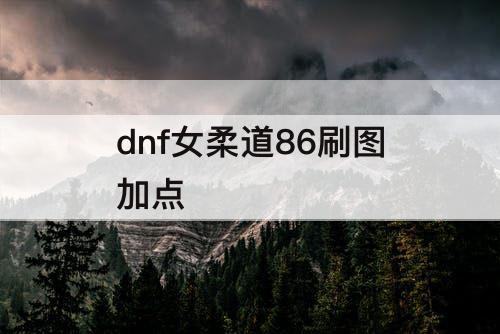 dnf女柔道86刷图加点