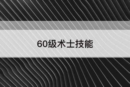 60级术士技能