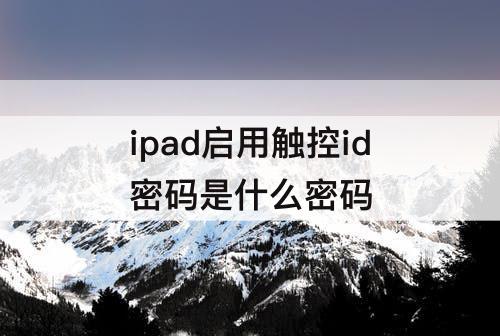 ipad启用触控id密码是什么密码