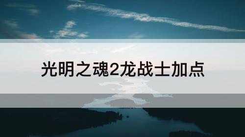 光明之魂2龙战士加点