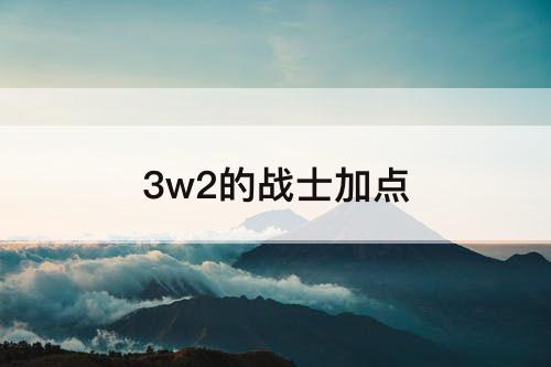 3w2的战士加点