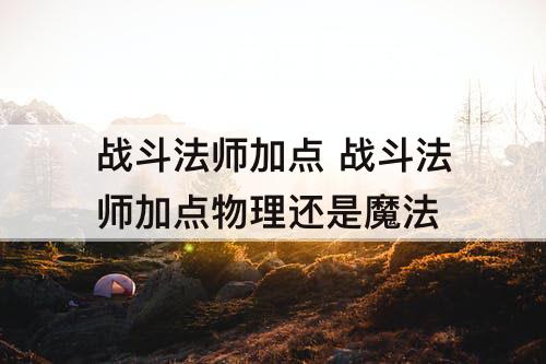 战斗法师加点 战斗法师加点物理还是魔法