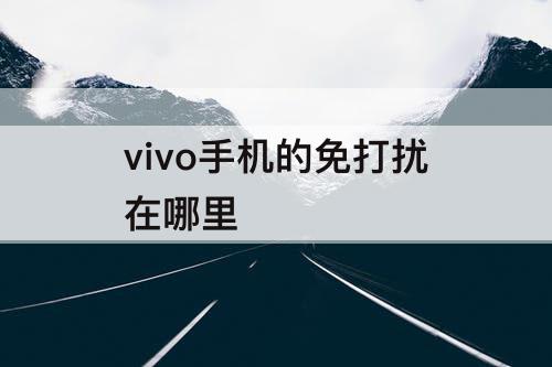 vivo手机的免打扰在哪里