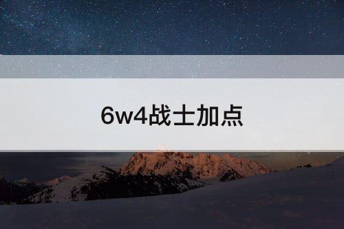 6w4战士加点