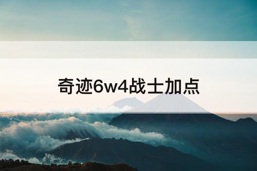 奇迹6w4战士加点