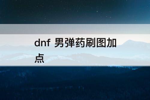 dnf 男弹药刷图加点