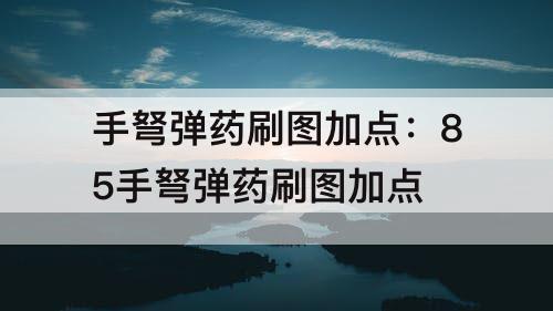 手弩弹药刷图加点：85手弩弹药刷图加点