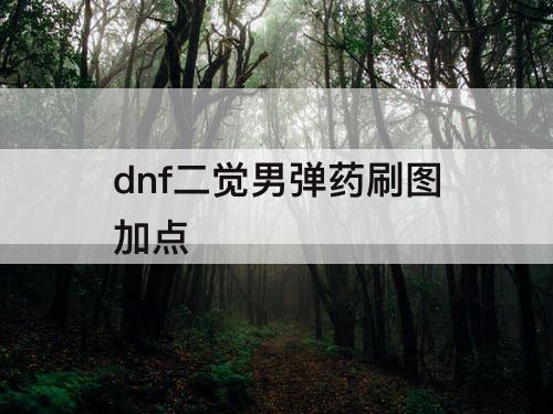 dnf二觉男弹药刷图加点