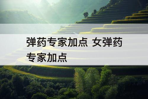 弹药专家加点 女弹药专家加点
