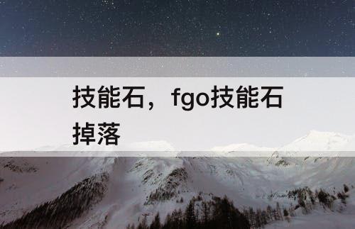 技能石，fgo技能石掉落