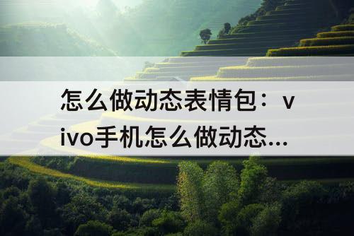 怎么做动态表情包：vivo手机怎么做动态表情包